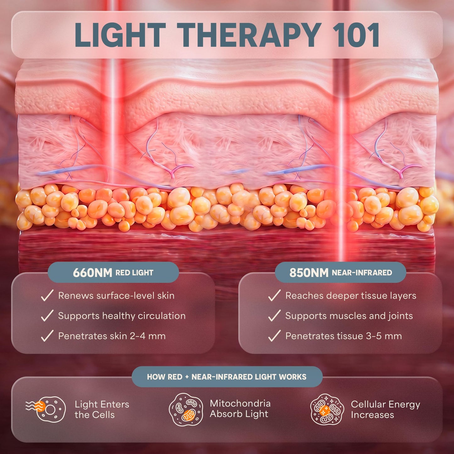 Lifepro Allevared Red Light Therapy Belt -105 Triple Chip LED Belt