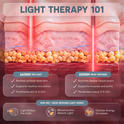 Lifepro Allevared Red Light Therapy Belt -105 Triple Chip LED Belt